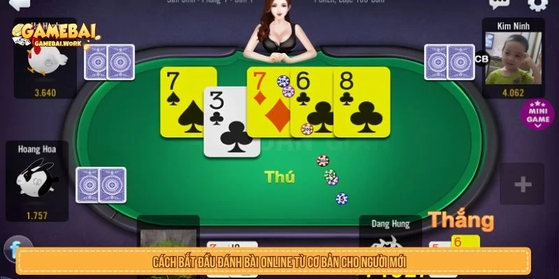 Cách bắt đầu đánh bài online từ cơ bản cho người mới